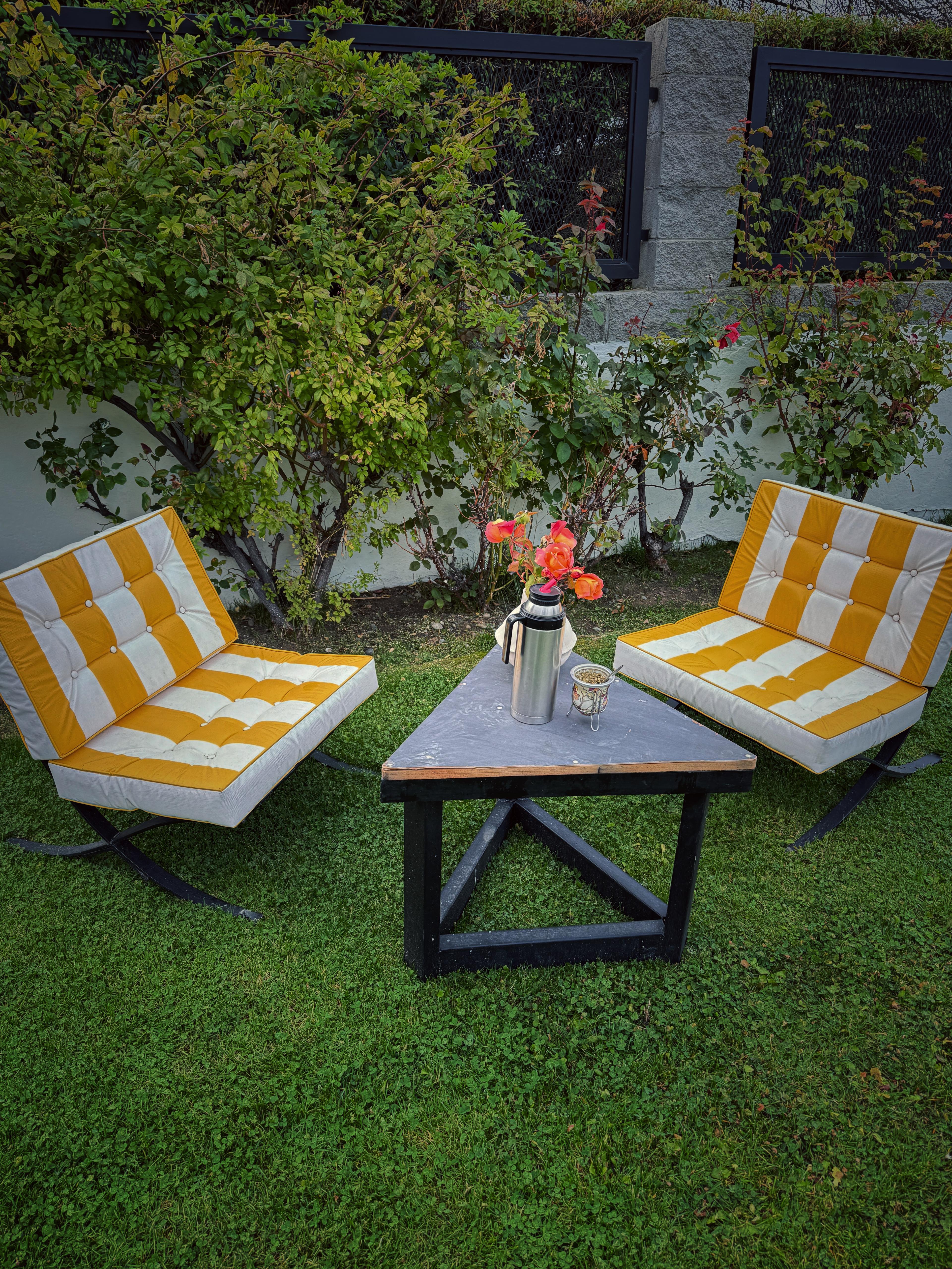 A quiet corner of the garden